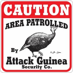 ATTACK GUINEA SIGN !