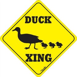 DUCK CROSSING SIGN !