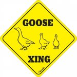 GOOSE CROSSING SIGN !