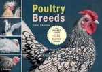 Pocket Size Poultry Breeds New
