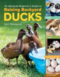 BEGINNERS GUIDE TO RAISING BACKYARD DUCKS NEW !