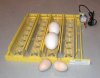 V3059 Large Egg Positioners