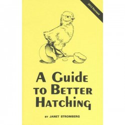 A Guide To Better Hatching