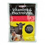 E-7-5 Vitamins & Electrolytes Multispecies Supplement NEW! 8 oz