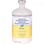 MYCOPLASMA GALLISEPTICUM VACCINE 1000 Dose !
