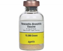 FR-5 NEW CASTLE - BRONCHITIS VACCINE 10,000 Dose NEW