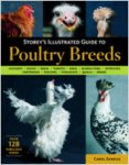 Storey's Illustrated Guide to Poultry Breeds