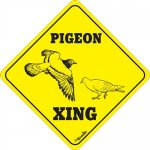 PIGEON CROSSING SIGN NEW!