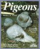 PIGEON CROSSING SIGN NEW!