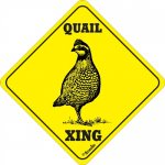 QUAIL CROSSING SIGN NEW!