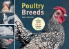Pocket Size Poultry Breeds BACK IN STOCK!