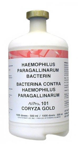 CORYZA GOLD VACCINE 1000 Dose! AVAILABLE FOR SHIPPING 3/12/24 - Click Image to Close