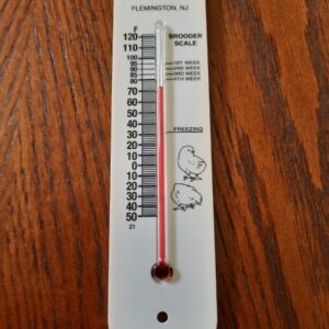 F-10-1MODEL 250 PLASTIC BROODER THERMOMETER new!