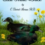 The East Indie Duck