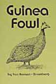 Guinea Fowl