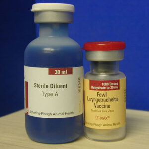 F-1-4 LT-I VAX LARYNGOTRACHEITIS VACCINE 1000 Dose