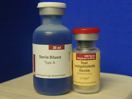 F-1-4  LT-I VAX  LARYNGOTRACHEITIS VACCINE 1000 Dose