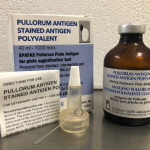 Antigen: Pullorum Stain 1000 Dose IN STOCK ! !