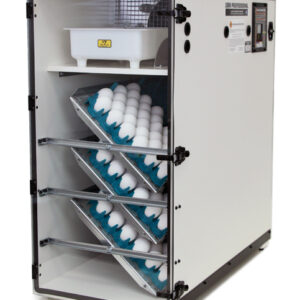 G-3065 Clear Acrylic Door