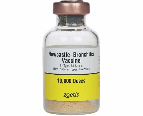 FR-5 Newcastle B1 BR C+M 10,000 Dose  NEW