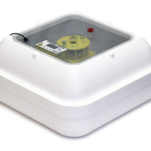 G-1588 . NEWEST DESIGN!